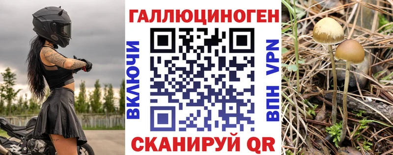 где купить   Фролово  дарк нет официальный сайт  Галлюциногенные грибы GOLDEN TEACHER 