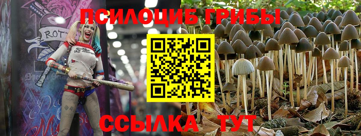 А ПВП  Гарик  Купить наркотики  Вход с VPN  Фролово  Меф  Марихуана  COCAIN 