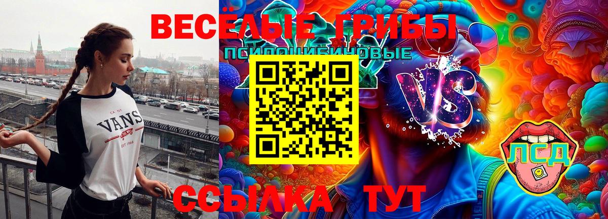 Псилоцибиновые грибы Psilocybe Фролово