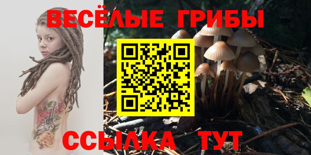 Псилоцибиновые грибы ЛСД Фролово